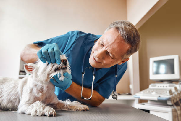 Best Emergency Wisdom Teeth Removal in Rockdale, TX