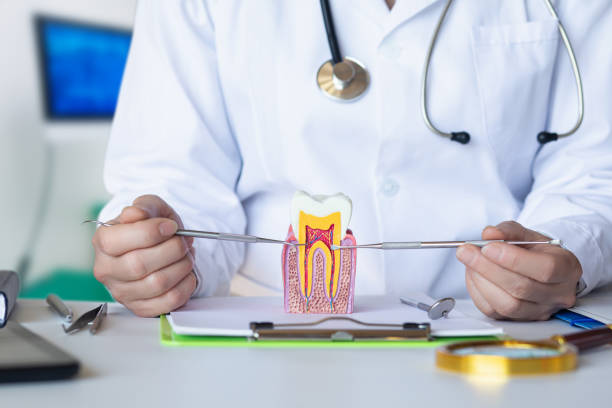 Best Emergency Root Canal Treatment in Rockdale, TX